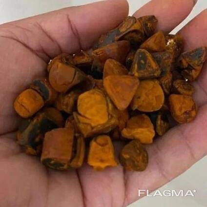 100% Natural Cattle/Ox Gallstones
