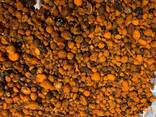 100% Natural Cattle/Ox Gallstones - photo 2