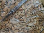 Almond Nuts / Raw Almonds For sale Whatsapp - фото 3