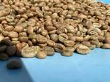 Arabica coffee premium quality beans for gourmet coffee production - photo 3