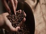 Arabica Lam Dong Coffee Whole Bean Premium SCA Organic Full City Roast - photo 1