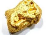 Gold bars - photo 1