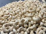 Cashew nut - фото 2