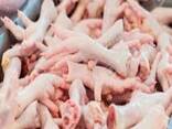 Chicken feet - photo 1