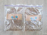 Comb blackberry mycelium (Lion's mane) whole 100 g. Lion's mane mushroom / Ежовик - фото 1