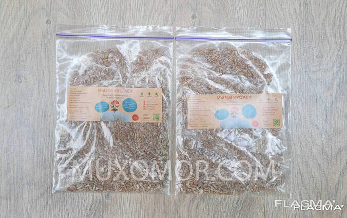Comb blackberry mycelium (Lion's mane) whole 100 g. Lion's mane mushroom / Ежовик
