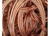 Copper wire scrap bulk supply wholesale cheap price premium - фото 1