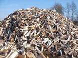 Dry firewood ready to burn - фото 2