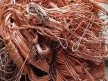 Export Best Prices Copper Wire 99.9%Cu (Min) and Copper Scrap - photo 2