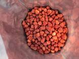 Freeze dried fruits wholesale - фото 12