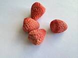 Freeze dried fruits wholesale - фото 14