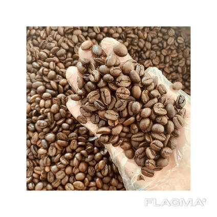 Arabica coffee premium quality beans for gourmet coffee production