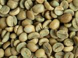 Freshly Roasted Organic Arabica Coffee Beans Fast Delivery in Stock Sale Price Original - photo 3