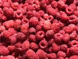 Frozen berries, fruits, berry-fruit and compote mixes. - photo 1