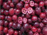 Frozen berries, fruits, berry-fruit and compote mixes. - photo 5
