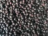 Frozen berries, fruits, berry-fruit and compote mixes. - photo 6