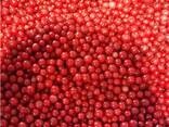 Frozen berries, fruits, berry-fruit and compote mixes. - photo 8