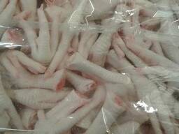Quality Halal Chicken Feet / Frozen Chicken Paws for sell