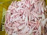 High Quality Chicken Paws/Wholesale Frozen Chicken Feet for Sale at Best Price - photo 2