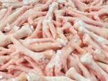 High Quality Chicken Paws/Wholesale Frozen Chicken Feet for Sale at Best Price - фото 1