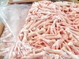 High Quality Chicken Paws/Wholesale Frozen Chicken Feet for Sale at Best Price - photo 1