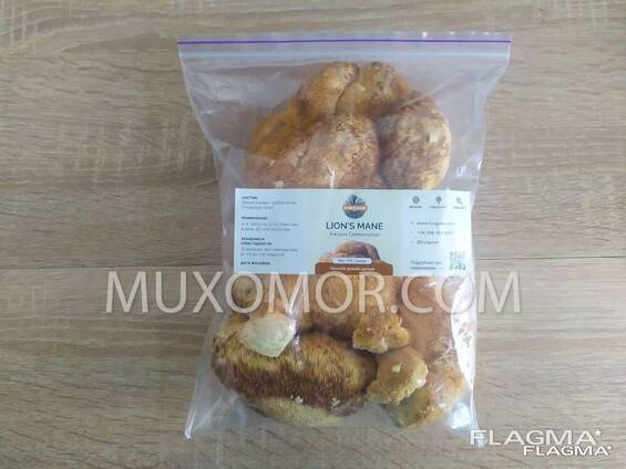 Lion's mane WILD (Lion's mane) WHOLE fruits of the mushroom - 100 g / Їжовик 100 г
