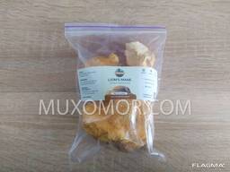 Lion's mane WILD (Lion's mane) WHOLE fruits of the mushroom - 50 g / Ежовик 50 г