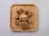 Lion's mane WILD (Lion's mane) WHOLE fruits of the mushroom - 50 g / Їжовик 50 г