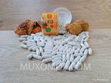 MIX of Red Toadstool and Blackberry mycelium in capsules 60 pcs. 0.5 g each / МІКС