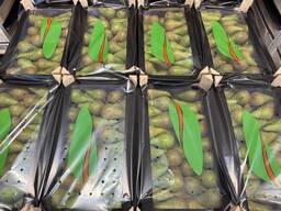 Poire « Conference »