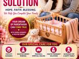 Psychic Nanda ji Best Astrologer &amp; Love Spell Expert in Toronto - photo 2