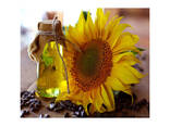 Refined Sunflower Oil Direct Factory Premium Plants Oil - photo 1