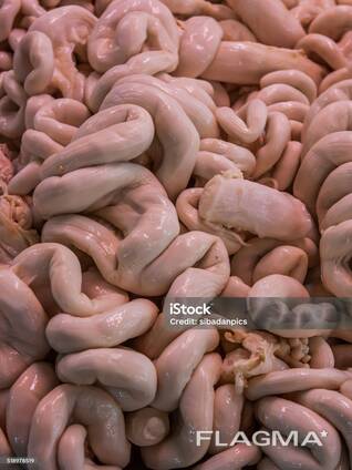 Small pork intestine
