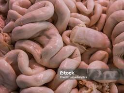 Small pork intestine
