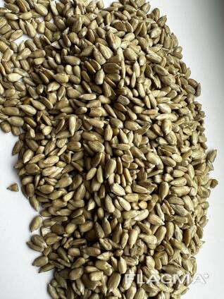 Sunflower kernel