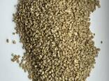 Sunflower kernel - photo 2