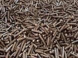 Whole sale quality wood pellets