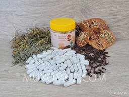 Trochatka antiparasitic with MUHOMORAS 60 capsules of 0.5 g / Тройчатка 60 капсул
