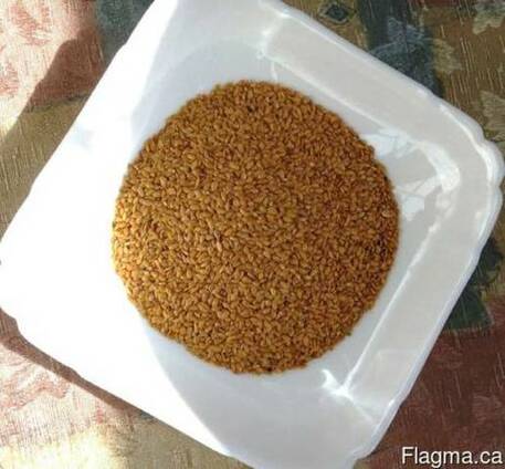 We sell flax light 1000 tons