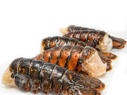 Wholesale Frozen Fresh Lobster Seafood for sale. Chilled Lobster Tails. Frosty Lobster Del