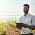 Farmstead service, LLP